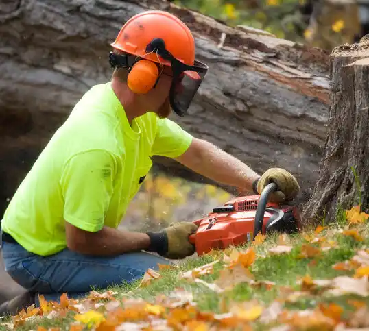 tree services Carey